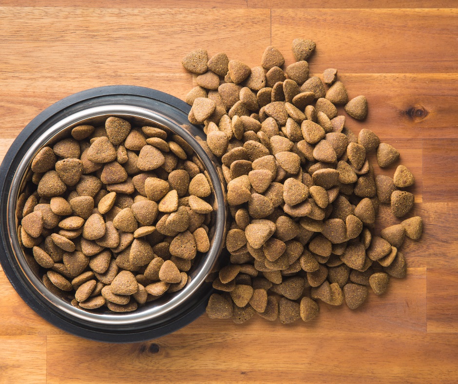 The 5 Best Dog Food Brands Recommended in 2023