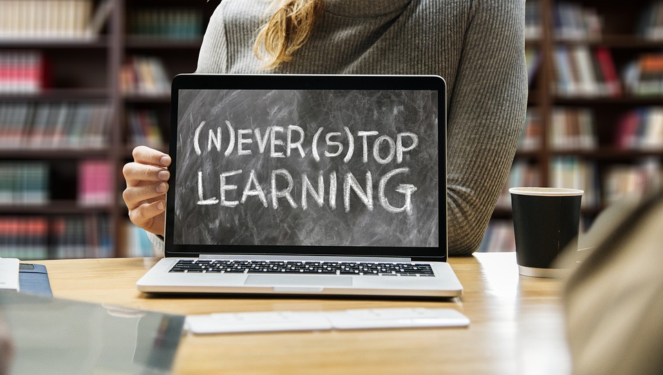 Revealing Effective Online Learning Strategies